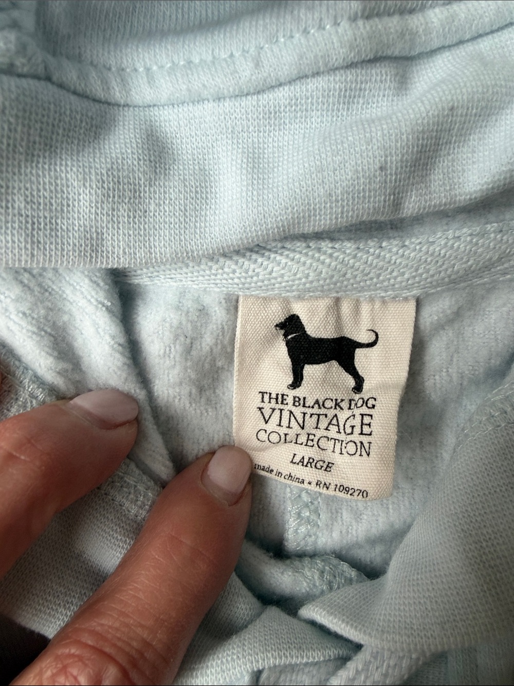 Black Dog Light Blue Hoodie, Generously sized and soft - Picture 3 of 10